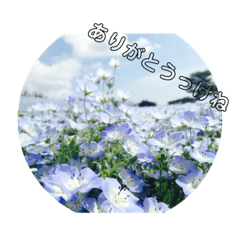 himawari_20211108160224