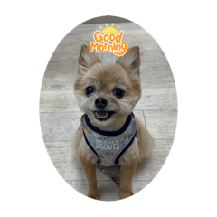 Michiko_20211108170633