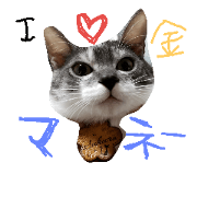 neko sakura69