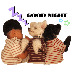 arisa_20211108181931