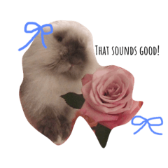 KAORI_Jerry