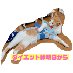 hanamama_20211108185332