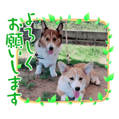 miki_20211108214847