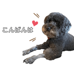 arisa_20211109012736