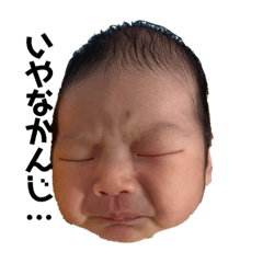 tatchi_20211109103342