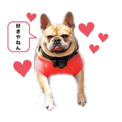 saori_20211109065253