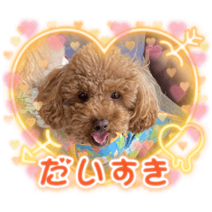 Chihiro_20211109104427