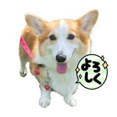 tomomi_20211108200208