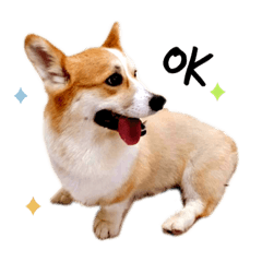 是油油耶！！！