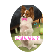 kazuki_20211109143842