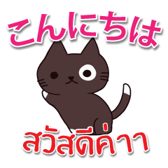 毎日楽しめる 猫ちゃん 日本語タイ語