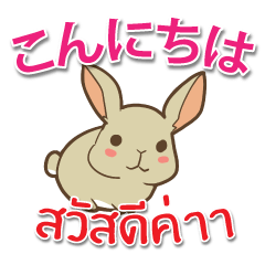 Anywhere Anytime with Rabbit