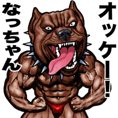 Nacchan dedicated Muscle macho animal