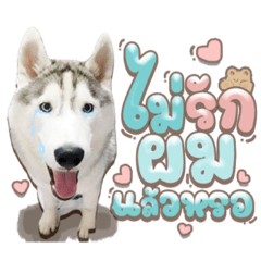 Iamnook_20211109024246