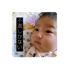 yayoi_20211109155409