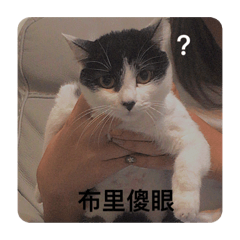 小餘震is here！！