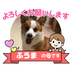 miki_20211110110459