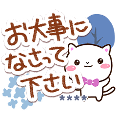 Very cute white cat (Custom9)