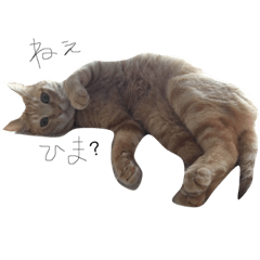 love cats2