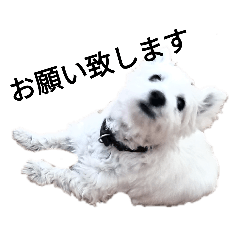 tomomi_20211110001037