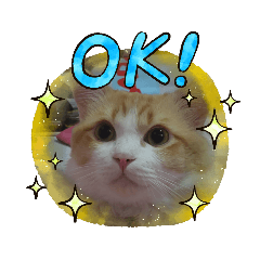 praew_20211109200403 – LINE stickers | LINE STORE