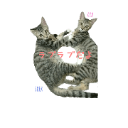 sora and aya  sticker