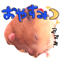 hamuchu2