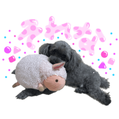 hikari_20211110151346