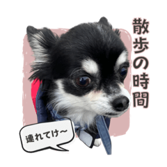 HIKARI_20211110164649