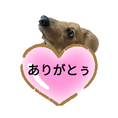 tomomi_20211110170515