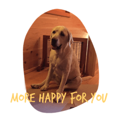 with all your respect and love.