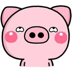 Pig Can be used immediately 2