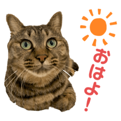 hana_20211110171121
