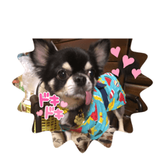 はなはなルイちゃん