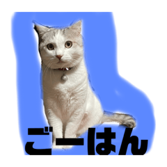 yukari_20211110193504