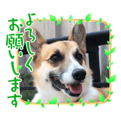 miki_20211110195057