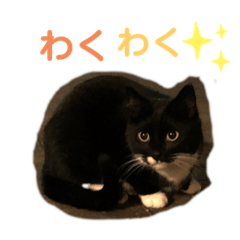 Rei_20211111092200