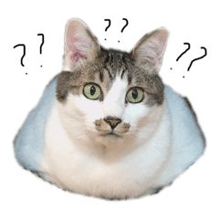 smile_20211110212755