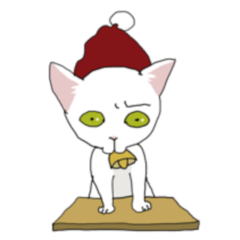 Christmas cat SHIRO