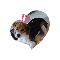 akiko_20211111132203