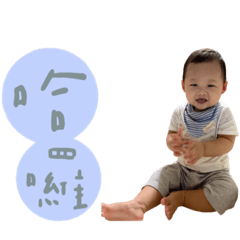 小倉鼠的日常❤️