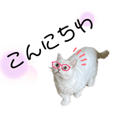 CHERRY_20211111122904