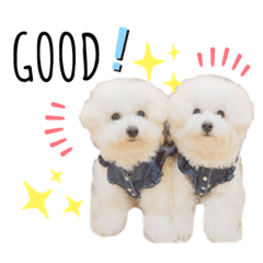 aoi_20211111152805