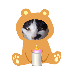 Laila_20211111120418 – LINE stickers | LINE STORE