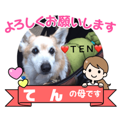 miki_20211111175410