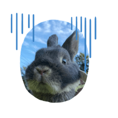 Liam_tsukune_elle_umi_noah