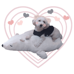 空ちゃんと一緒