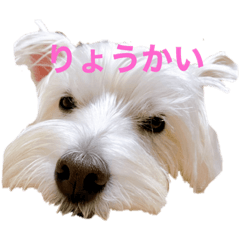 MiNi_20211111193152