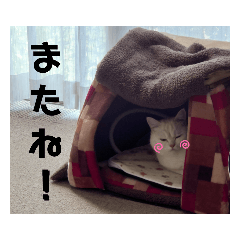 riho_20211111221600