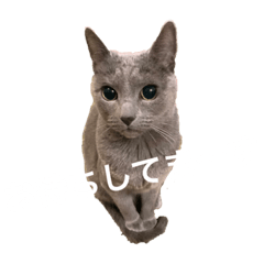 sasha_20211112104400-8